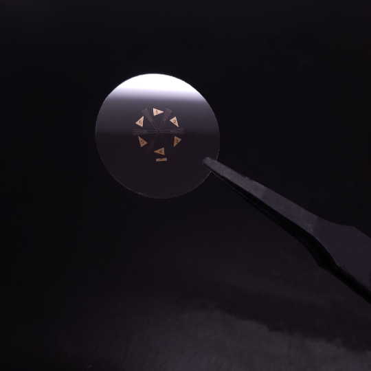 Plasmonic Imaging Chip